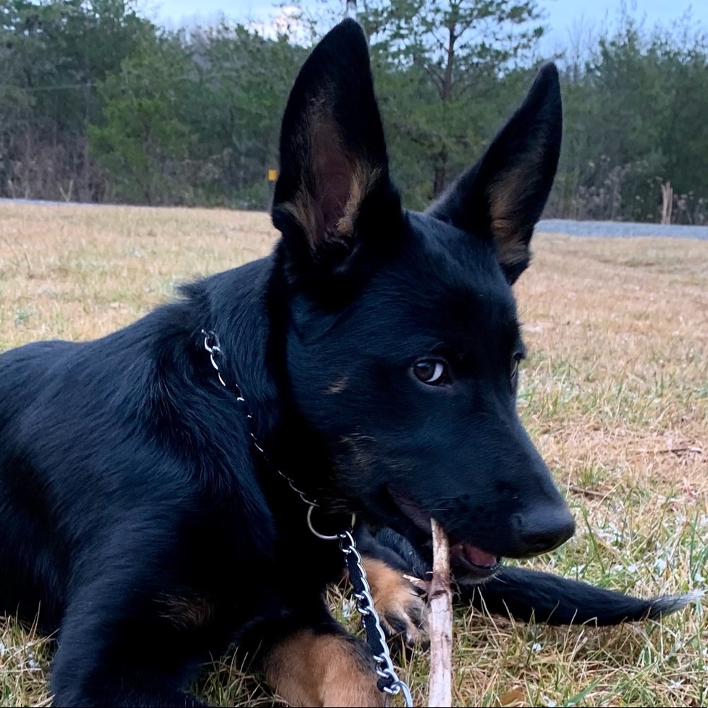 Meet your Posher, Aaron